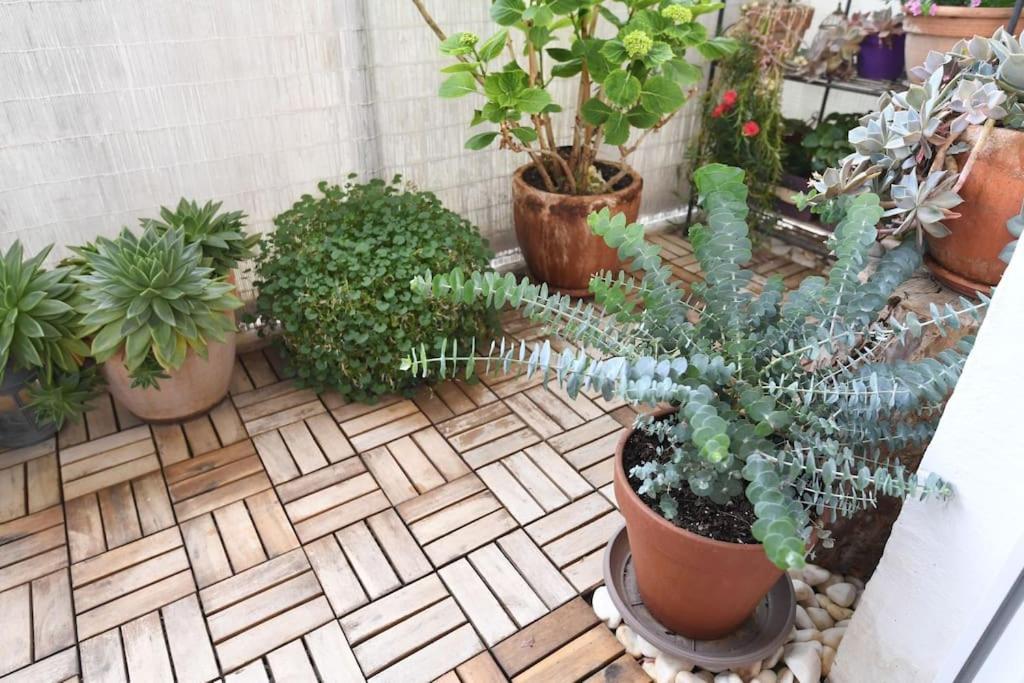 Apartman Ilijana Zadar Exterior foto